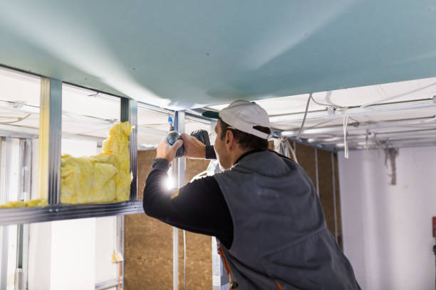 Best Insulation Installation Services in Kemp Mill, MD