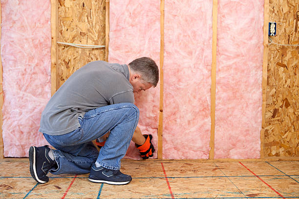 Best Insulation Installation Services in Kemp Mill, MD