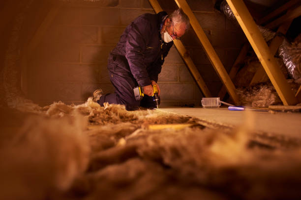 Best Insulation Maintenance and Repair in Kemp Mill, MD